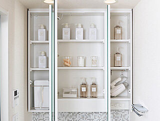 プレサンス ロジェ 西大路御池駅前 三面鏡裏収納