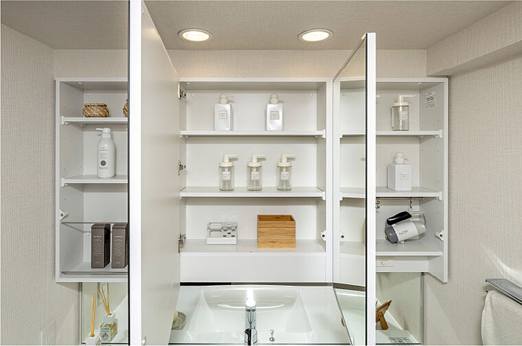 プレサンス レイズ 福島海老江 ミレイユ 設備