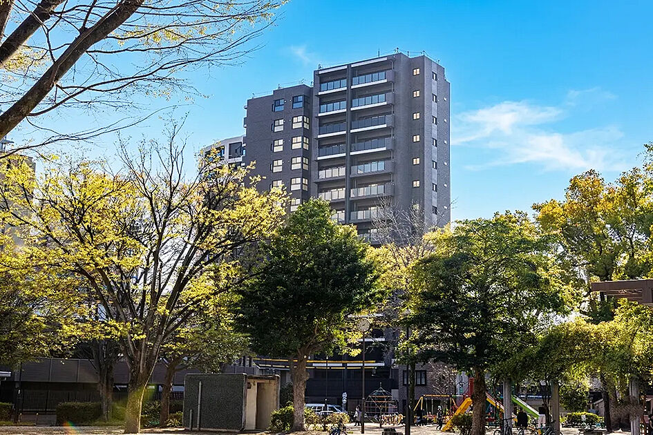 画像1