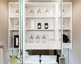 プレサンス ロジェ 淡路ダイナプレイス 三面鏡裏収納