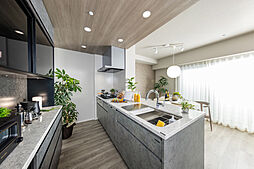 ダイアパレス土橋駅前 専有部