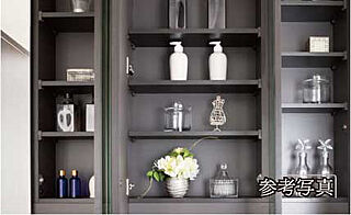 オープンレジデンシア名古屋グランデ 鏡裏収納付き三面鏡