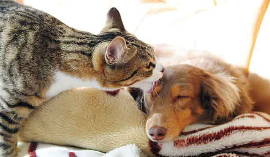 イノバス名駅 設備