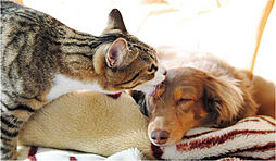 イノバス赤池 設備