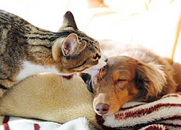 イノバス名古屋フロント 設備