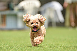 イノバス西新 設備