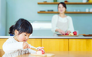 プラネスーペリア三国ヶ丘 オープンキッチン（天井吊フード）