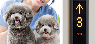 パレステージ杉並松庵 ペット同居可