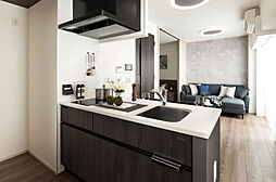 デュオステージ武蔵関 専有部