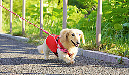 オーベル新松戸レジデンス 設備