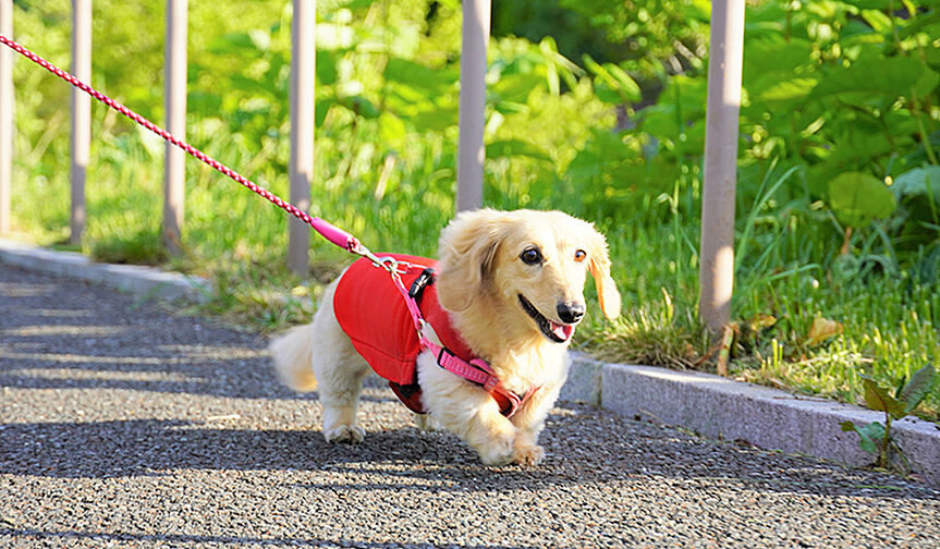 オーベル新松戸レジデンス 設備