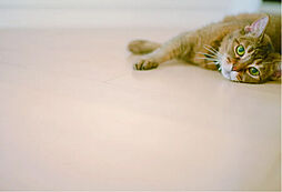 グローベル草加 ザ・プレミア 設備