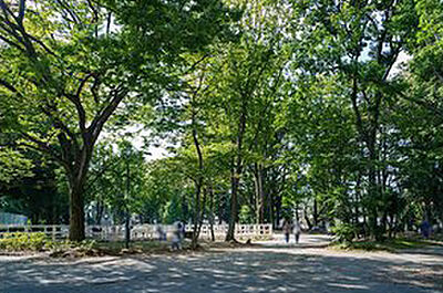 東板橋公園 (徒歩7分)