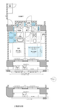 レ・ジェイド札幌大通ザ・タワー 間取り C