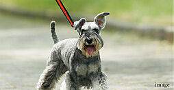 クレアホームズ松江大橋 設備