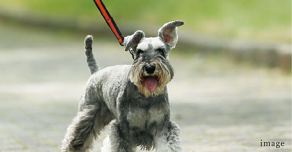 クレアホームズ松江大橋 設備