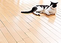 グランクレア ミリアシティ 設備