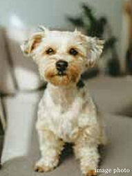 プラウディアコート越来 設備