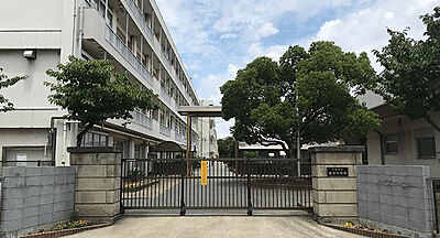 高洲中学校【通学校】 約1,510m（徒歩19分）