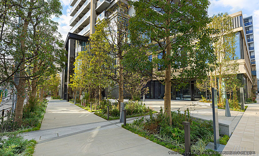 シティタワーズ板橋大山サウスタワー フォレストパーク（広場1号）