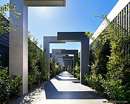 シティテラス善福寺公園 共用部