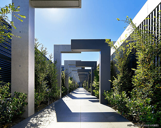 シティテラス善福寺公園 コリドー