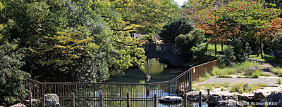 仙台堀川公園 約110m(徒歩2分)