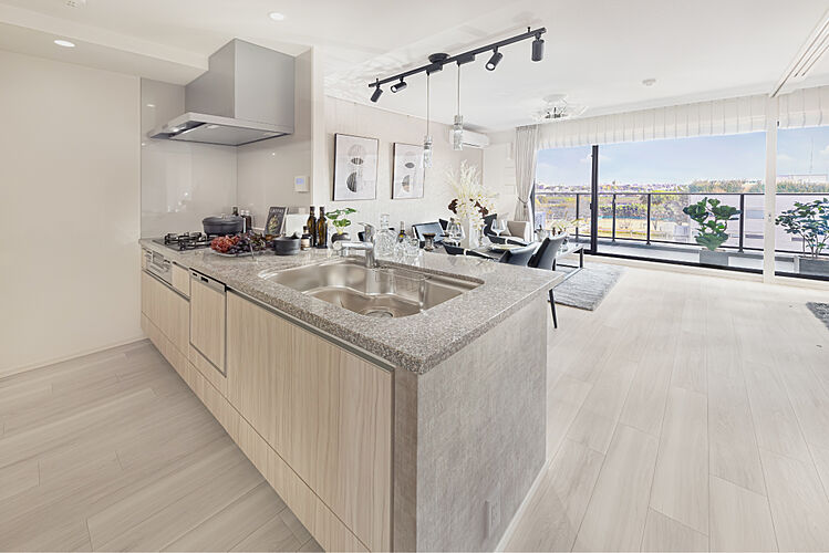 シティテラス登戸 キッチン