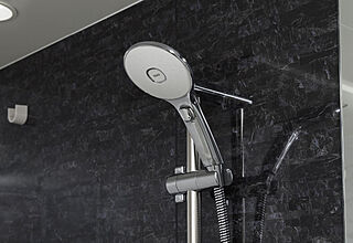 W CITY TOWERS 節水シャワーヘッド