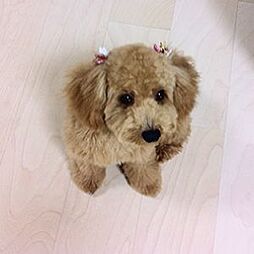 ザ・札幌タワーズ　イーストタワー 設備