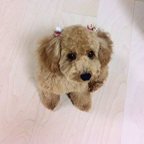 ザ・札幌タワーズ　イーストタワー 設備