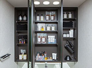 ザ・ライオンズ西川口 三面鏡裏収納