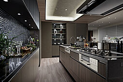 ザ・ライオンズ覚王山 専有部