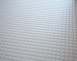 ザ・ライオンズ横川 設備