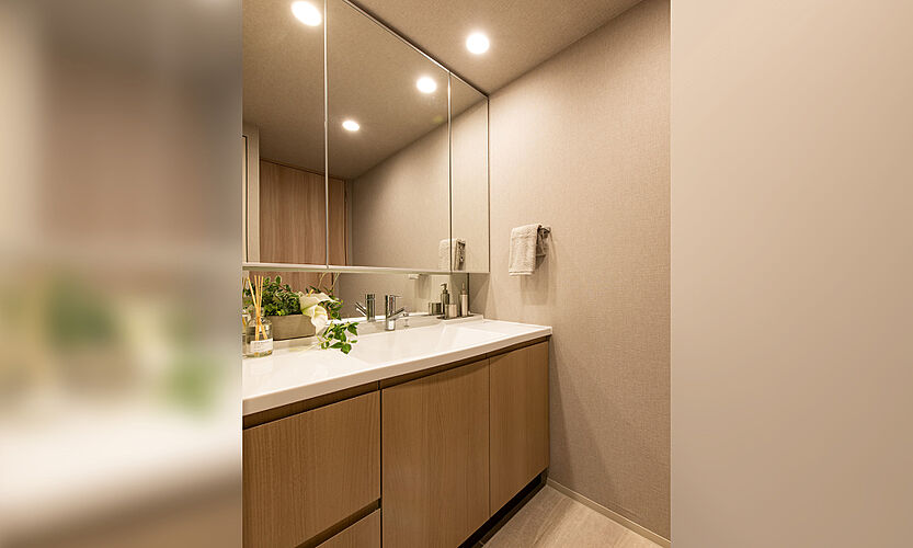 ブランズシティ東岸和田 パウダールーム（Oタイプ）