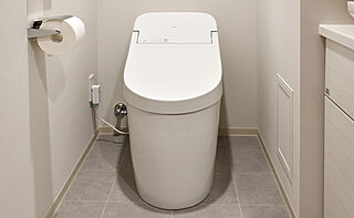 ブランズ札幌大通東 ローシルエットトイレ