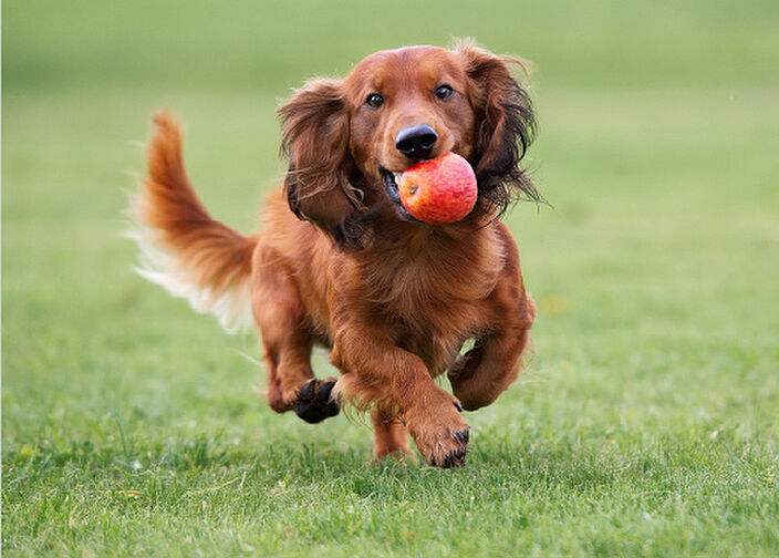 ブランズシティ品川テラス 設備