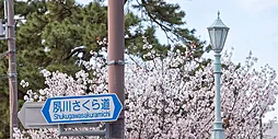 周辺環境