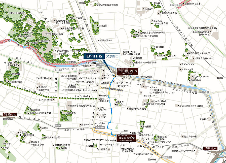 Brillia 文京関口：案内図