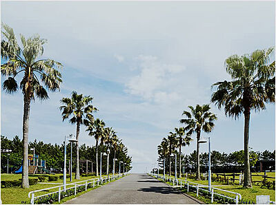 浦安市総合公園 約1,020m（徒歩13分）