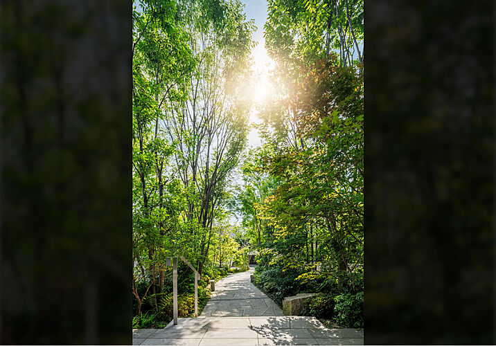 プラウド等々力ガーデンコート エントランスアプローチ