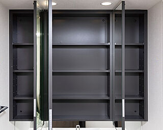 ＣＥＮＴＲＡＬ　ＡＩＲ　ＣＩＴＹ　ＲＥＳＩＤＥＮＣＥ　II 三面鏡裏収納