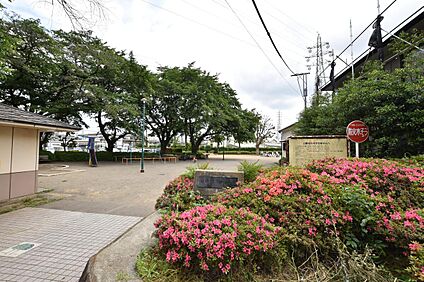 白糸台中央公園 407ｍ(徒歩6分)