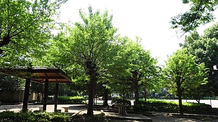 亀ケ谷公園 310ｍ(徒歩4分)