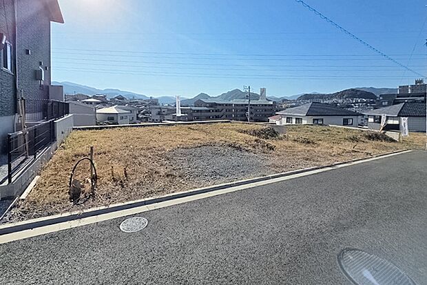 ※現地写真［10号地］