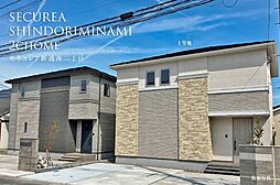 新潟県新潟市西区新通南二丁目117番6、117番7
