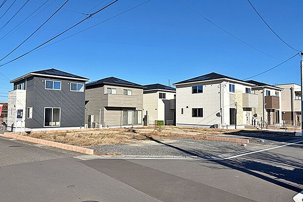 8号地　現地写真