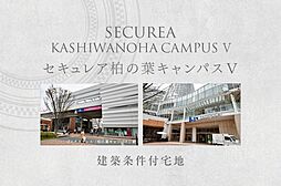千葉県柏市正連寺字屋敷内337番2、340番3(従前地)