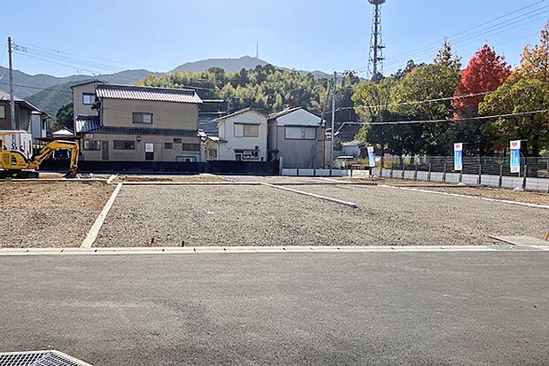 ※現地写真［10号地］