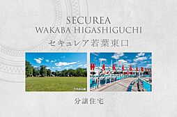 埼玉県坂戸市大字石井字南谷頭2924番9(従前地)他